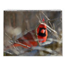 Suche nach kardinäle kalender Büro