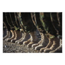 Suche nach afghanischer poster Armee