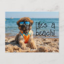 Suche nach über leonberger postkarten Zitronenpresse