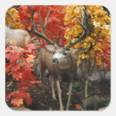 Suche nach whitetail aufkleber Hirsche