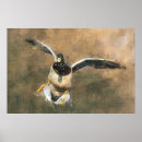 Suche nach duck poster Geburtstag