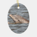 Suche nach delfin ornamente Natur