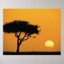Suche nach baum silhouetten poster Sonne