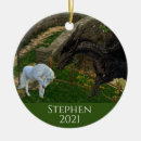 Suche nach dragon ornamente Drache