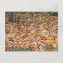 Suche nach herbst blätter postkarten Rot