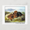 Suche nach irish setter postkarten Retriever