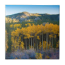 Suche nach felsige berge fliesen Aspen