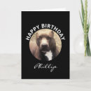 Suche nach pit bull karten Haustier