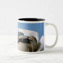 Suche nach deckel tassen Dynastie