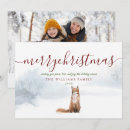 Suche nach winterfuchs karten Weihnachten