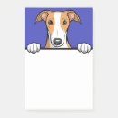 Suche nach whippet post it Hund