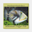 Suche nach hawaii insel magnete Jede person