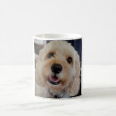 Suche nach phoebe tassen Hund