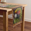 Suche nach lorikeet Regenbogen