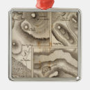 Suche nach geologie ornamente Graviert