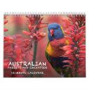 Suche nach papagei kalender Cockatoo