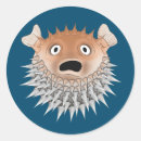 Suche nach lustige fische aufkleber Orange