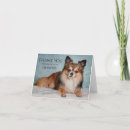 Suche nach katze danke karten Foto