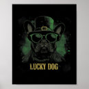 Suche nach paddy poster Heilige