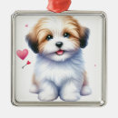 Suche nach havanese ornamente Welpe