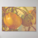 Suche nach obst und gemüse poster Herbst
