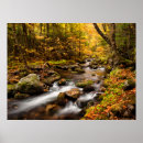 Suche nach ahorne poster Herbst
