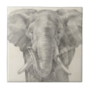 Suche nach sketch fliesen Zeichnend