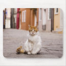 Suche nach burano mousepads Stadt