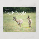 Suche nach south dakota postkarten Staat