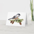 Suche nach kohlmeise karten Vogel