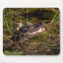 Suche nach amphibie mousepads Natur