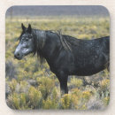 Suche nach mustang untersetzer Wüste