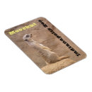 Suche nach lebensraum magnete Säugetier