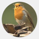 Suche nach stumpf aufkleber Baum