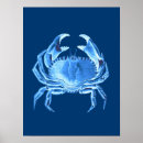Suche nach sea life poster Ozeane