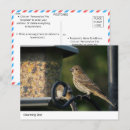 Suche nach feeder postkarten Natur