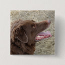 Suche nach profil buttons Hund