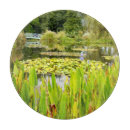 Suche nach brücke schneidebrettchen Wasser