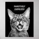 Suche nach überrascht poster Katze