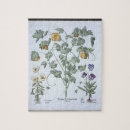 Suche nach mohnblumen puzzle Botanisch