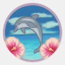 Suche nach dolphin aufkleber Sommer