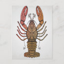 Suche nach lobster postkarten Nautisch