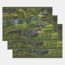 Suche nach reptilien geschenkpapier Krokodile