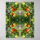 Suche nach tomaten poster Abstrakt
