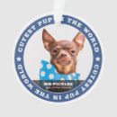 Suche nach niedlicher hund ornamente Welpe