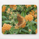 Suche nach schmetterlinge und motten mousepads Blumen