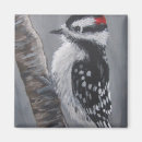 Suche nach flaumig magnete Vogel