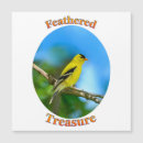 Suche nach gefiedert Vogel