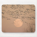 Suche nach wandernd mousepads Tier