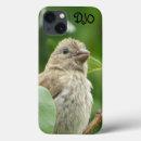 Suche nach bird iphone hüllen Vogelbeobachter